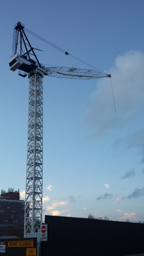 20160605_KT crane.jpg