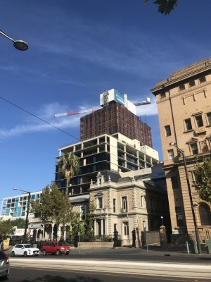 Adelaidean 5.jpg