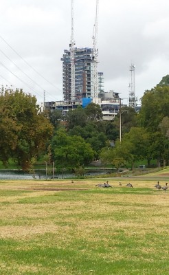 20190331_flinders st.jpg