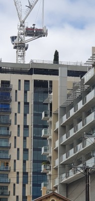 20191008_pirie st 1.jpg