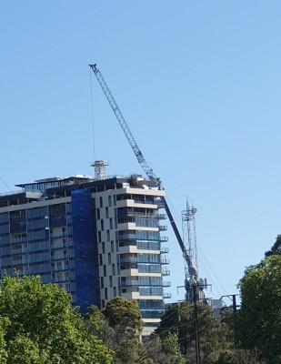 20191020_pirie st crane.jpg