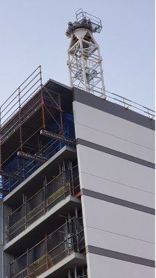 20201106_soutth tce crane.jpg