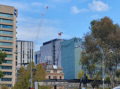 20250215_Franklin st crane.jpg