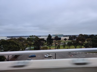 IMG_20191003_060029.jpg