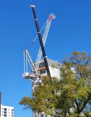 20200829_crane1.jpg