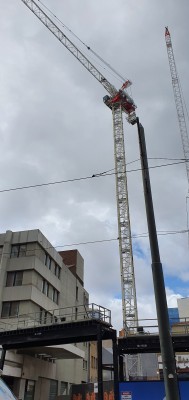 20210824_125805crane KW.jpg